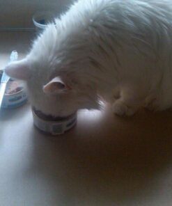 Insulated Drinking Glasses 16oz 4-pack - Made in USA Great for Iced Coffee & Hot Drinks, Clear Double Wall Plastic Tumbler Cups, Microwave, Freezer & Top Rack Dishwasher Safe Reusable Cups Clear - 16 oz 16.0 ounces 31 41YMGCraaVL 6