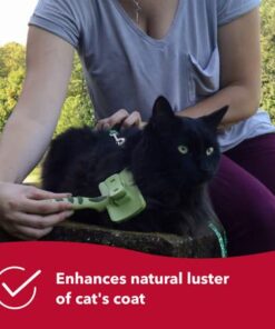 Coastal Pet Safari - Cat Self-Cleaning Slicker Brush - Cat Grooming Supplies Pack of 1 27 41ZRTPvLD9L