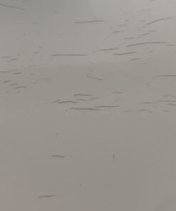 Febreze Air Freshener and Odor Eliminator Spray, Gain Original Scent, 8.8 Oz (Pack of 6) 8.8 Ounce (Pack of 6) 21 41aY3FNDGL