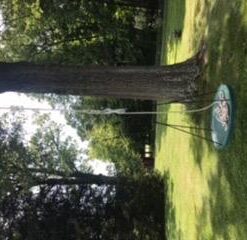 3/4 Inch by 50 Feet Gold Double Braid Nylon Rope 5 41axz4NPHDL