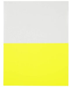 JAM PAPER Shipping Labels - Half Page - 5 1/2 x 8 1/2 - Neon Yellow - 50/Pack 5 1/2" x 8 1/2" Labels (Half Sheet) 9 41bFf4m8I L