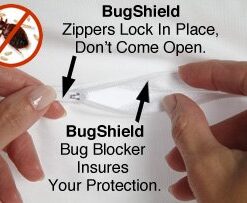 Premium BED Bugs Pillow Protector a Set of 2 Pillow Protectors (Queen (21"x"28)) Queen (21"x"28) 15 41bk3lbCdLL