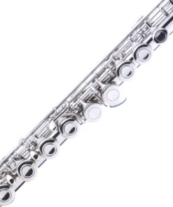 Mendini Nickel Silver Closed Hole C Flute with Tuner, Stand, 1 Year Warranty, Case, Cleaning Rod, Cloth, Joint Grease, and Gloves - MFE-N+SD+PB+92D 13 41bsTeoUejL