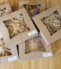 MT Products Kraft Pie Boxes with Window - Size of 10" X 10" X 2.5" - (15 Pieces) Easy Auto Pop-Up Bakery Boxes - Perfect for Donuts, Muffins, and, Cookies - Made in the USA 16 41cXIpv 7vL