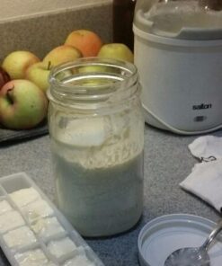 Cultures for Health Kefir Starter Culture | 4 Packets Freeze Dried Starter Powder | Make Kefir with Milk, Water, or Juice | Re-Culture Kefir Probiotic Drinks 2-7x Each | Cultures in Less Than a Day Coconut 0.20 Ounce (Pack of 1) 36 41cyyUuHaiL