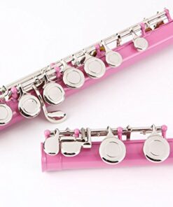 Glory Closed Hole C Flute With Case, Tuning Rod and Cloth,Joint Grease and Gloves, Light pink 15 41dLjQll8SL