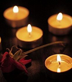 Zion Judaica Quality Tealight Candles 4 - 4.5 Hour Burn Time Unscented Set of 200 - Stark White 200 Pack 15 41dRdP57laL