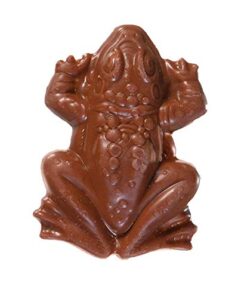 Jelly Belly Harry Potter Chocolate Frog, 0.55-oz, 24 Pack 5 41dcwVQANyL