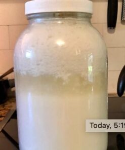 2TBSP Active Organic Milk Kefir Grains Ebook: "Milk Kefir Unleashed" 1 Count (Pack of 1) 37 41de9LdRYRL