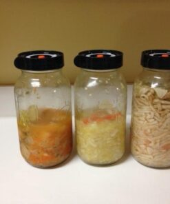 Nourished Essentials Fermentation Kit - 3 Pack Airlock Fermentation Lids for Wide Mouth Mason Jars with Vacuum Sealer - Air Lock for Fermenting Kimchi, Sauerkraut, Pickle and Kombucha 45 41eRZlsQn1L