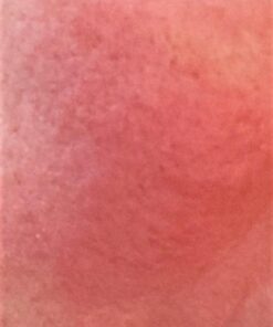 Olay Total Effects 7 in 1 Night, 1.7 oz 35 41eXU4azk2L