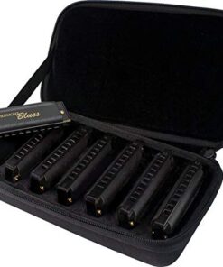 Hohner PBH7 Piedmont Blues Harmonica Set - 7-Pack 8 41eZ4aYXIHL