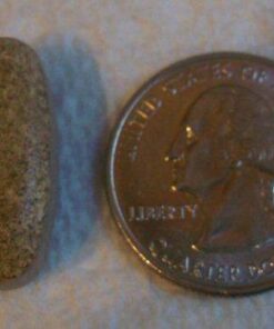 The Honest Company Love the Bump Prenatal Once Daily Supplement | NSF-Certified, Non-GMO | 30 Count Tablets 29 41fL8uEg jL