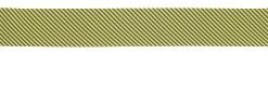 Dunlop D38 Classic Woven Guitar and Bass Straps Classic Tweed Jacquard,classic 10 41fjDcM4HVL