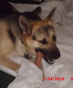 Nylabone Power Chew Dog Toy - Dog Toys for Aggressive Chewers - Indestructible Dog Toys for Aggressive Chewers Large Breed - For Extra Large Dogs - Bacon Flavor X-Large/Souper (1 Count) X-Large/Souper - 50+ lbs. 53 41fqbH9 BWL