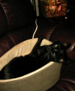 K&H Pet Products Thermo-Kitty Bed Heated Cat Bed Small 16 Inches Mocha/Tan 16.0"L x 16.0"W x 6.0"Th Retail Package 35 41gl1QCbDfL