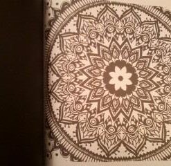 Mandala Coloring Book: 100+ Unique Mandala Designs and Stress Relieving Patterns for Adult Relaxation, Meditation, and Happiness (Magnificent Mandalas) Paperback, Large Print 73 41gsMVpPdeL