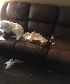 MATCH 'N PATCH Realistic Leather Repair Tape, Red Brown, 2.4 inch x 15 feet 33 41i0xarM6CL