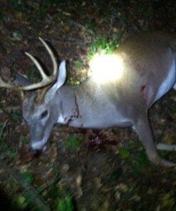 Conquest Scents EverCalm Deer Herd Scent Stick Basic pack 24 41ibW2yA GL 1