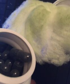 FRESH HEALTHCARE Premium Chlorella Supplement, 1200mg Pure Vegan Powder Capsules, 180 Chlorophyll and CFG Pills, Natural Detox Superfood, Naturally Contains B Vitamins and Minerals 36 41isq82ALL