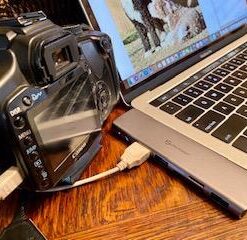 USB C Hub Adapter MacBook - UtechSmart 7 in 2 MacBook Pro/Air Accessories Multiport Adapter with Thunderbolt 3 Port, 100W PD 4K@30Hz, 40Gbps 4K HDMI, 3*USB3.0 Data Port SD and MicroSD Card Reader 42 41jcCWZvUBL