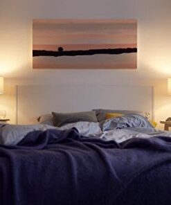 Philips LED Non-Dimmable A19 Frosted Light Bulb: 1500-Lumen, 2700-Kelvin, 14.5-Watt (100-Watt Equivalent), E26 Base, Soft White, 6-Pack, 461995 6 Count (Pack of 1) 100-Watt Equivalent 23 41jzze33p6L