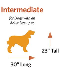 MidWest Homes for Pets Newly Enhanced  Double Door iCrate Dog Crate, Includes Leak-Proof Pan, Floor Protecting Feet, Divider Panel & New Patented Features 36 inch (Pack of 1) 31 41kMFmfZNKL 2