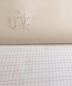 U.S. Art Supply (Pack of 2 Pads) - 9" x 12" Premium Calligraphic Practice Paper Pad, 19 Pound Bond (70gsm), Pad of 50-Sheets, Calligraphy Paper with Printed Practice Rule and Slanted Grid 33 41kXQYBYT8L