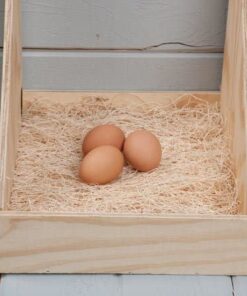 DUNCAN'S FAMILY FARM STORE Duncans Poultry 13x13 Excelsior Nest Pads Bundle of 40 40 Pack 9 41l18xIAvNL