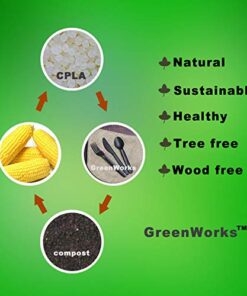 GreenWorks Compostable CPLA Disposable SPOONS, 100 Count Heavyweight Bio-based Plastic Cutlery Spoon 11 41m6cRCQYIL