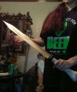 Fantasy Master Gladiator Warrior Twin Sword Set and Sheath 5 41mD99CT TL