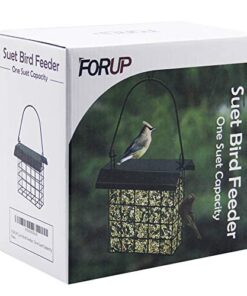 FORUP Suet Bird Feeder, Hanging Suet Feeder, Single Suet Cake Bird Feeder, One Suet Capacity 1 20 41mMSwVzuyL