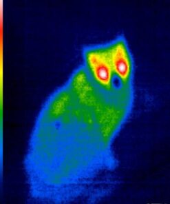 Seek Thermal CompactXR – Outdoor Thermal Imaging Camera for iOS, Black (LT-AAA) 84 41mWrgmEbnL