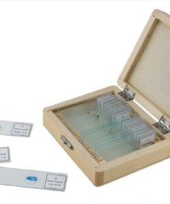 Alternative view of Celestron No.44410 Prepared Microscope Slides (25-Piece Set) Prepared Slides - 25 piece box