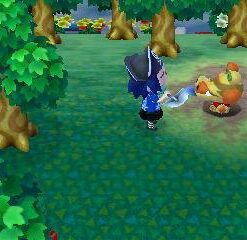 Nintendo Selects: Animal Crossing: New Leaf - Nintendo 3DS 31 41mkKpLBvCL