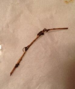 Natures Answer Black Walnut and Wormwood 1 oz 30mL 200mg. Extract, Liquid,promotes digestion,Vegetable Glycerin And Purified Water 32 41muP8czsjL