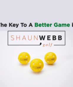 Practice Golf Balls (16-Pack) Limited-Flight Foam Golf Balls to Improve Your Swing - Dent Resistant Yellow Golf Balls Practice - Perfect for Indoors, Basement & Backyard. Perfect for Men and Kids. Ethylene Vinyl Acetate (EVA) 13 41nQWjI5HbL