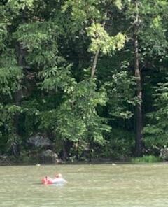 Intex River Run 1 Water Inflatable Tube Raft (6 Pack) 25 41ngdADwpL