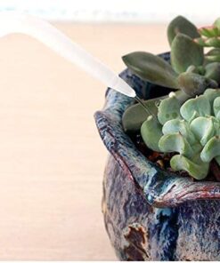 Mkono 2 Pack Watering Can, 250ML and 500ML Succulent Watering Bottle Plant Flower Squeeze Bottle Plastic Bend Mouth Safety Wash Bottle, Small and Medium, White 26 41oDvXRP3L