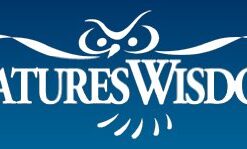 Nature's Wisdom Food Grade DE Diatomaceous Earth, 10 lb. 5 41oHDTDu6YL