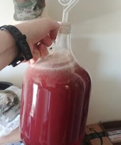 FastRack 1 gal Glass Wine Fermenter, INCLUDES Rubber Stopper and Twin Bubble Airlock, Multicolor 1 Count (Pack of 1) 32 41ospmMK0vL