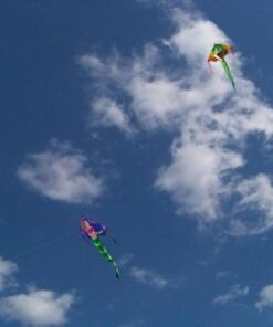 Large Easy Flyer Kite - T-Rex Dinosaur (46" X 90") with 300 Ft 30lb Test Kite String and Winder 7 41paornUQYL