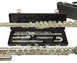 Alternative view of Gemeinhardt Flute (2SP)