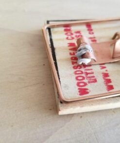 Victor m154 metal pedal mouse trap (8) 8 Traps 19 41qkojvzrHL