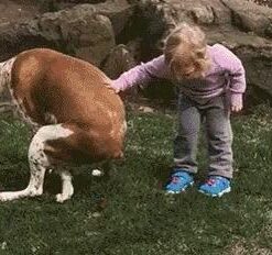 Earth Rated Dog Poop Bags, Guaranteed Leak Proof and Extra Thick Waste Bag Refill Rolls For Dogs, Unscented, 120 Count 120 Bags 41 41rAgsqgtJL