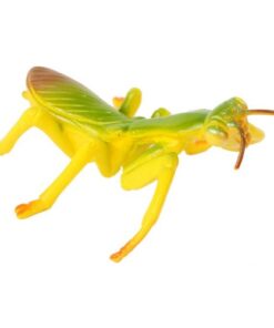 Praying Mantis 4 Piece Life Cycle Figures - 2" Bug Toys by Insect Lore 8 41rCS3L00WL