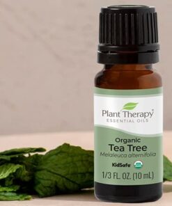 Plant Therapy Organic Tea Tree Oil (Melaleuca) 100% Pure, USDA Certified Organic, Undiluted, Natural Aromatherapy, Therapeutic Grade 10 mL (1/3 oz) 15 41rFROhod6L