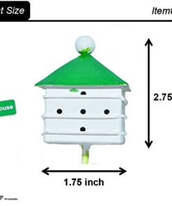 G & F MiniGardenn 10028 Fairy Garden Miniature Martin house 6 41rzytGEjpL