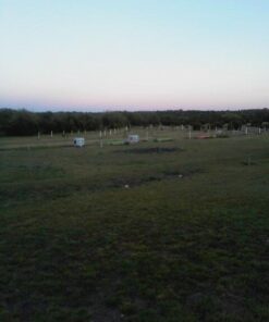 275-330 GALLON IBC TOTE TANK ADAPTER 2" NPS Fine x BRASS Hose FAUCET VALVE 14 41sDMdCrqrL