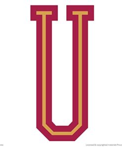 Cricut Everyday Die Cut Cartridge, Extreme Fonts 25 41ty3w9LXJL